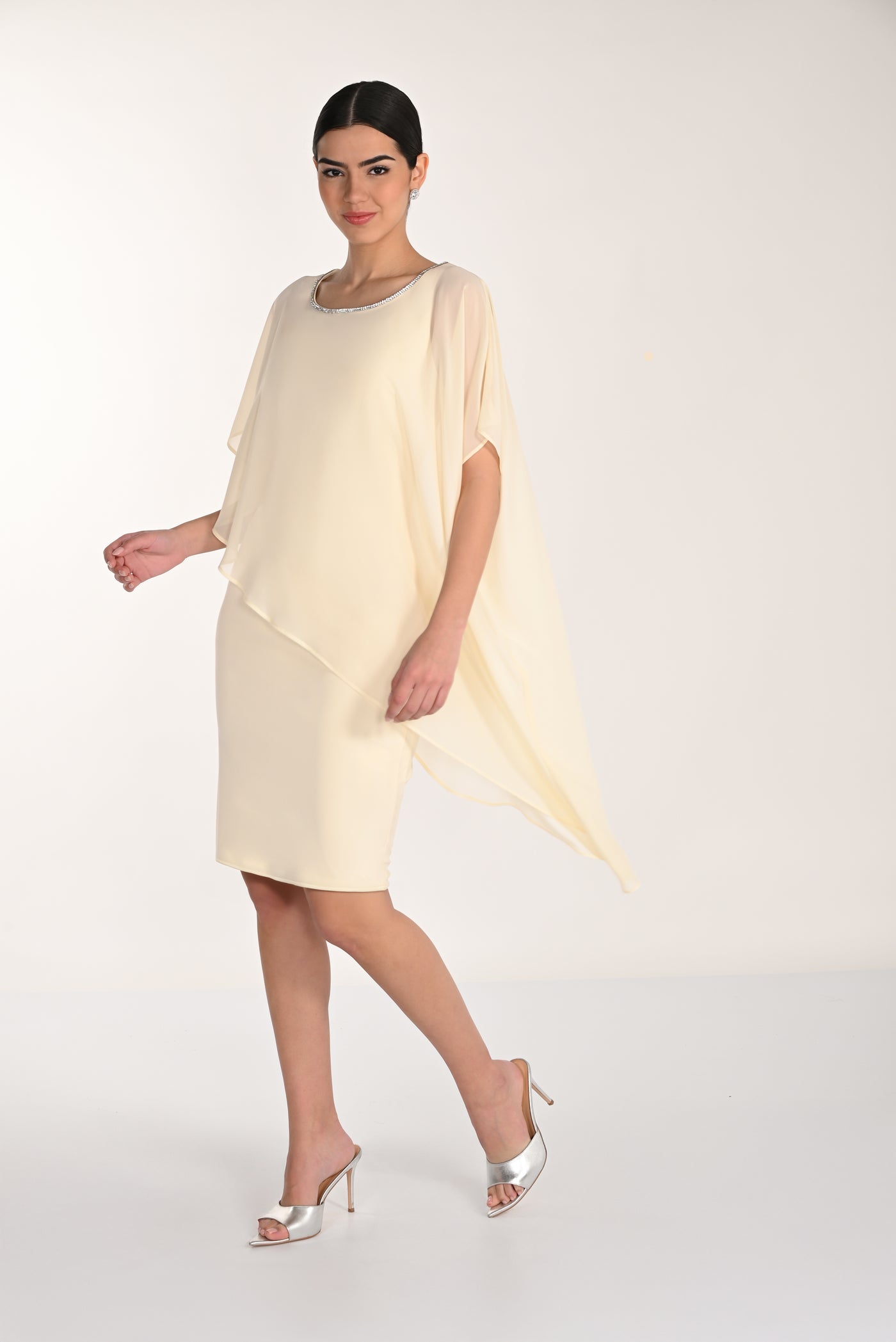 Chiffon Dress Frank Lyman
