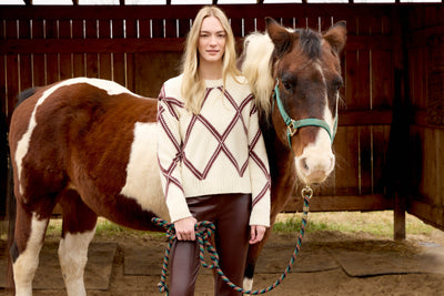 Diamond Crew Neck Sweater - Dream Pants