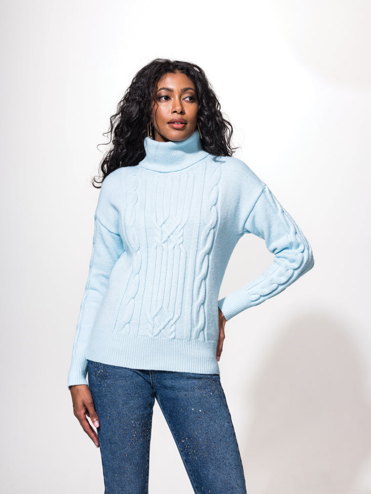 Alison Sheri Roll Neck Sweater 